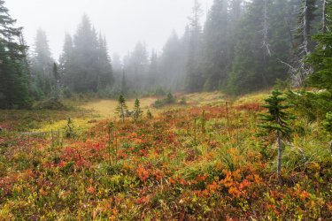 RCM02988-PNW 2023-230929-24.jpg