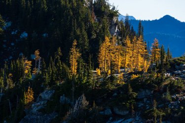 RCM04696-PNW 2023-231006-6.jpg