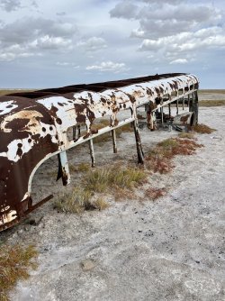 4FA1F6EE-7233-4A8F-86B1-9DE82759B834.jpeg 4FA1F6EE-7233-4A8F-86B1-9DE82759B834.jpeg