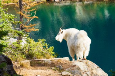 RCM04785-PNW 2023-231008-10.jpg