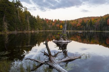 DSC_0104.jpg DSC_0104.jpg