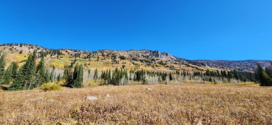 20231007_111823.jpg 20231007_111823.jpg