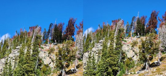 20231009_141150-1_EDIT.jpg 20231009_141150-1_EDIT.jpg