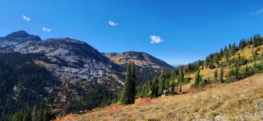 20231009_145256.jpg 20231009_145256.jpg