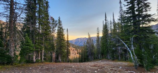 20231010_074320.jpg 20231010_074320.jpg