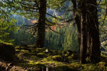 RCM03377-PNW 2023-230930-114.jpg