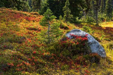 RCM03158-PNW 2023-230929-55.jpg