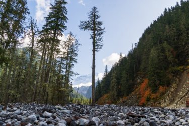 RCM03403-PNW 2023-230930-132.jpg