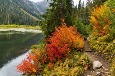 RCM03468-PNW 2023-231002-170.jpg