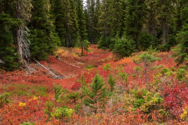 RCM03474-PNW 2023-231002-8.jpg