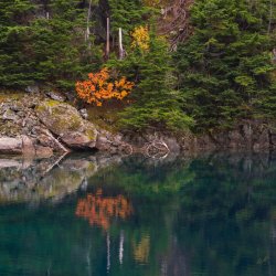 RCM03526-PNW 2023-231002-41.jpg