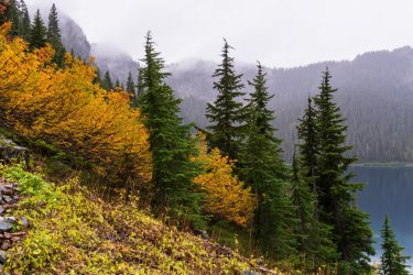 RCM03532-PNW 2023-231002-46.jpg