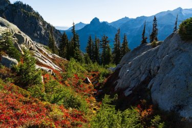 RCM04657-PNW 2023-231005-56.jpg