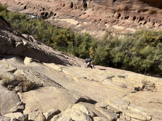 IMG_5620.jpeg IMG_5620.jpeg