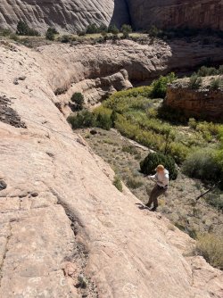 IMG_5654.jpeg IMG_5654.jpeg