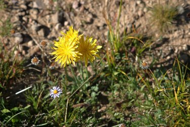 0O7A1811.JPG 0O7A1811.JPG