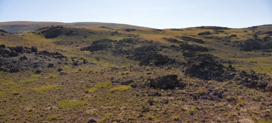 0O7A1812.JPG 0O7A1812.JPG