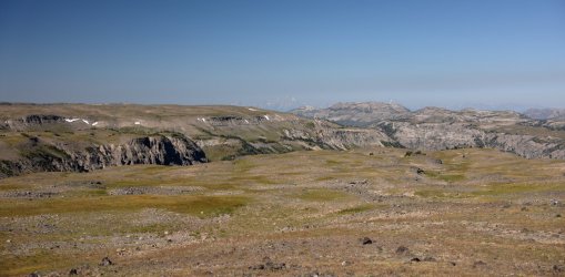 0O7A1817A.jpg 0O7A1817A.jpg