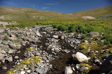 0O7A1825A.jpg 0O7A1825A.jpg