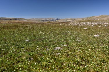 0O7A1829.JPG 0O7A1829.JPG