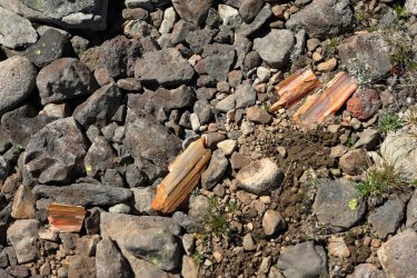 0O7A1837.JPG 0O7A1837.JPG