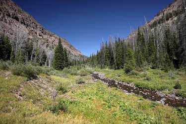 0O7A1859.JPG 0O7A1859.JPG