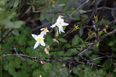 0O7A1871.JPG 0O7A1871.JPG