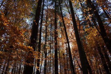 0O7A3159A.jpg 0O7A3159A.jpg