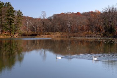 0O7A3165.JPG 0O7A3165.JPG