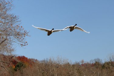 0O7A3171.JPG 0O7A3171.JPG