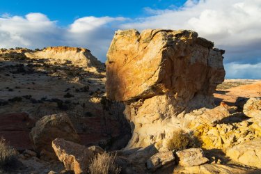 RCM04967-Wanderings 2023-231124-5.jpg