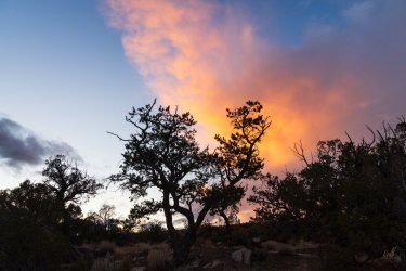 RCM05020-Wanderings 2023-231124-12.jpg