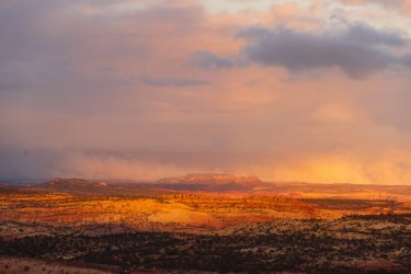 RCM04985-Wanderings 2023-231124-8.jpg