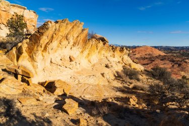 RCM05176-Wanderings 2023-231125-54.jpg