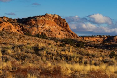 RCM05180-Wanderings 2023-231125-55 (1).jpg