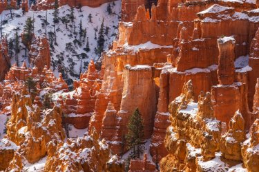 RCM05206-Wanderings 2023-231126-64.jpg