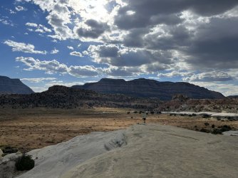 IMG_0050.JPEG IMG_0050.JPEG