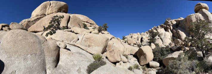 IMG_5618.jpeg IMG_5618.jpeg