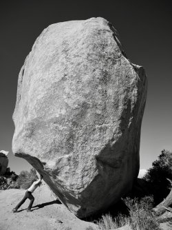 P1000308_Original.jpeg P1000308_Original.jpeg