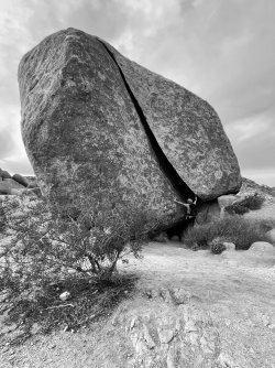 IMG_5706_Original.jpeg IMG_5706_Original.jpeg