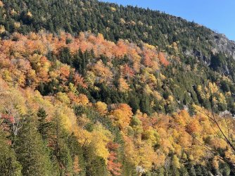 IMG_6843.jpg IMG_6843.jpg