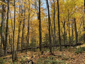 IMG_6948.jpg IMG_6948.jpg