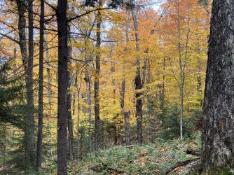 IMG_6954.jpg IMG_6954.jpg