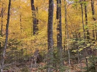 IMG_6968.jpg IMG_6968.jpg