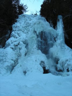 PICT0397_Original.jpeg PICT0397_Original.jpeg