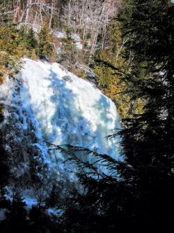 PICT0361_Original.jpeg PICT0361_Original.jpeg