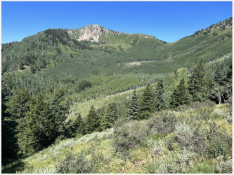 Screenshot 2024-01-13 at 10.02.08 AM.png