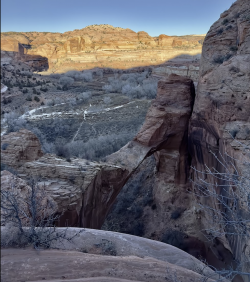 CleanShot 2024-01-14 at 08.26.05@2x.png