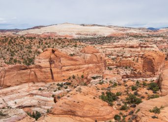 IMGP0670-copy-2.jpg IMGP0670-copy-2.jpg