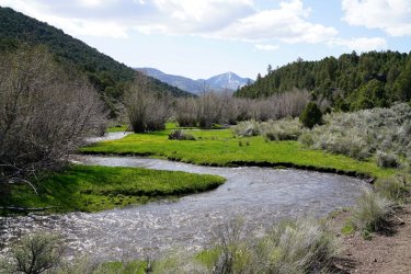 DSE08325f.jpg DSE08325f.jpg